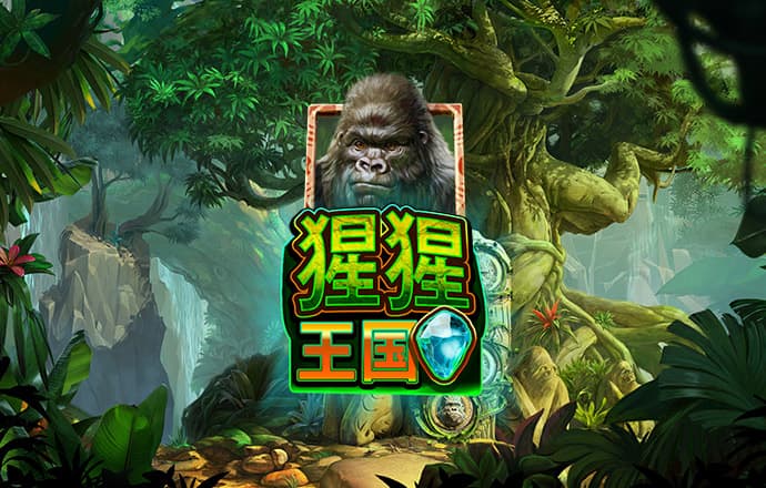 9博体育苹果下载